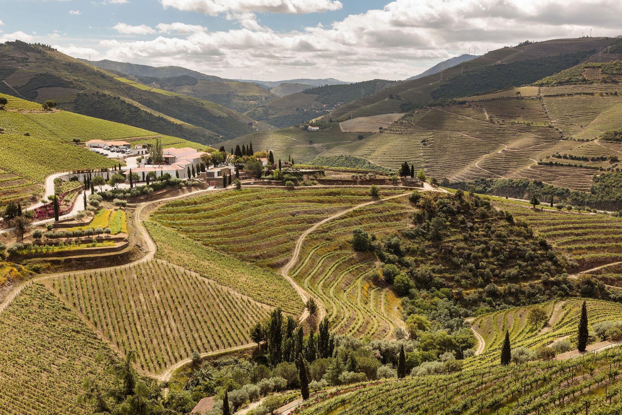 Quinta Nova Winery House - Relais & Chateaux Pinhão Exteriér fotografie